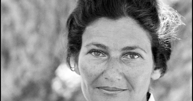 Lettre De Simone Veil Lacad Mie Fran Aise Lhumanit Est Un Vernis